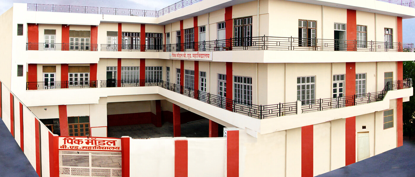 Pink Model Teacher Training College, Bikaner Image