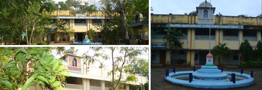 Arulmigu Palaniandavar Polytechnic College Image