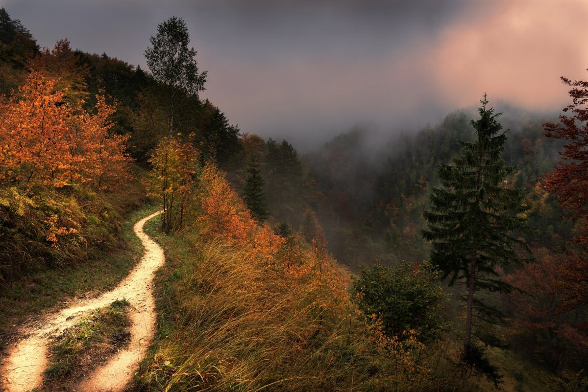 mountain-trails
