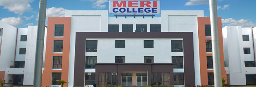 Meri Professional and Law Institute, Jhajjar Image