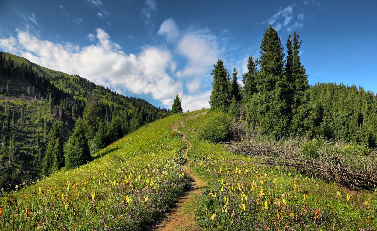 mountain-trails