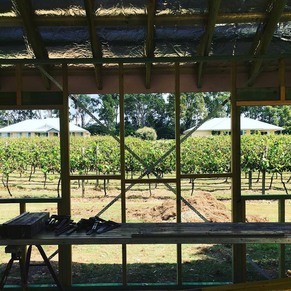 Shed and vines