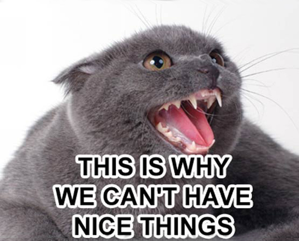 [Image: whywecanthavenicethings.jpg]