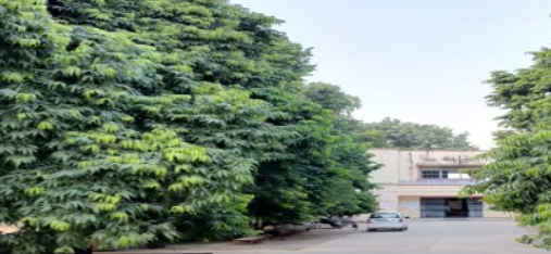 S.N.K.P. Government College, Sikar Image