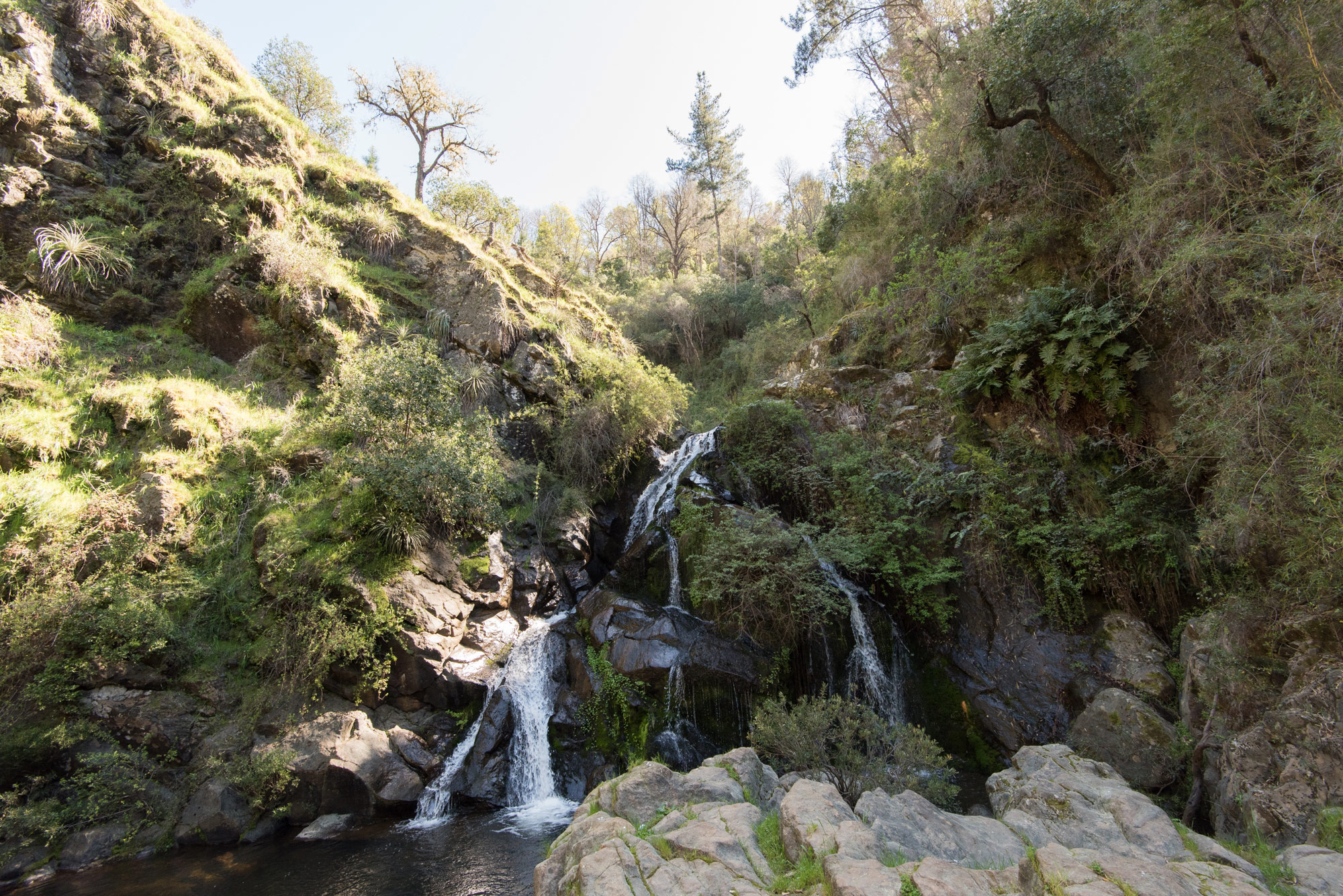 Cuenca del Río Huenchullamí