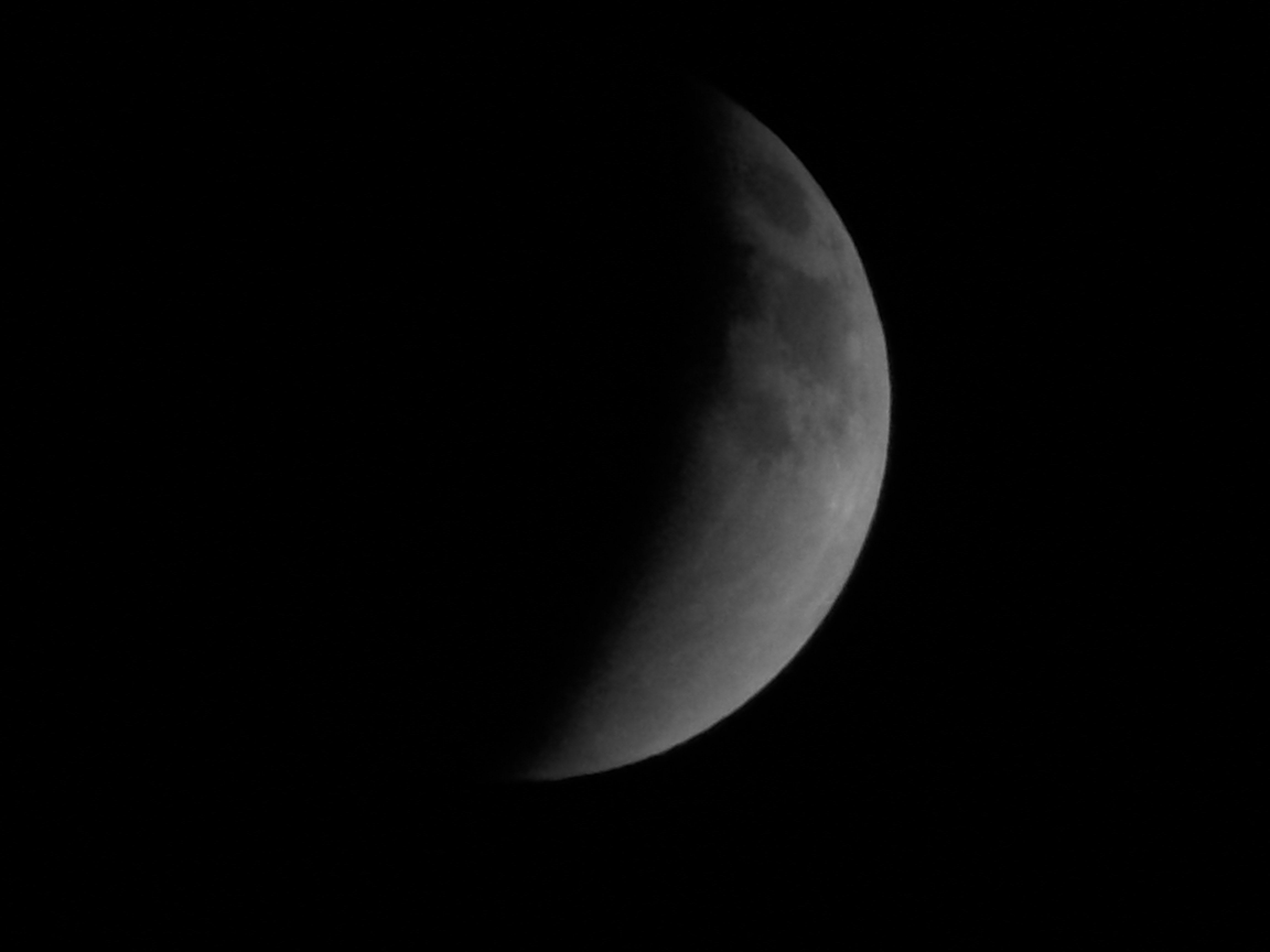 DSCN0597.JPG