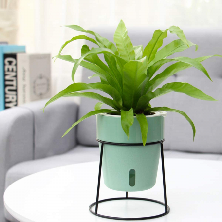 Macetero autorregante verde, 23xØ18cm