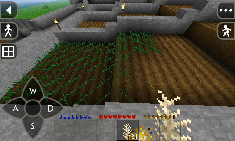 survival craft 2 seed