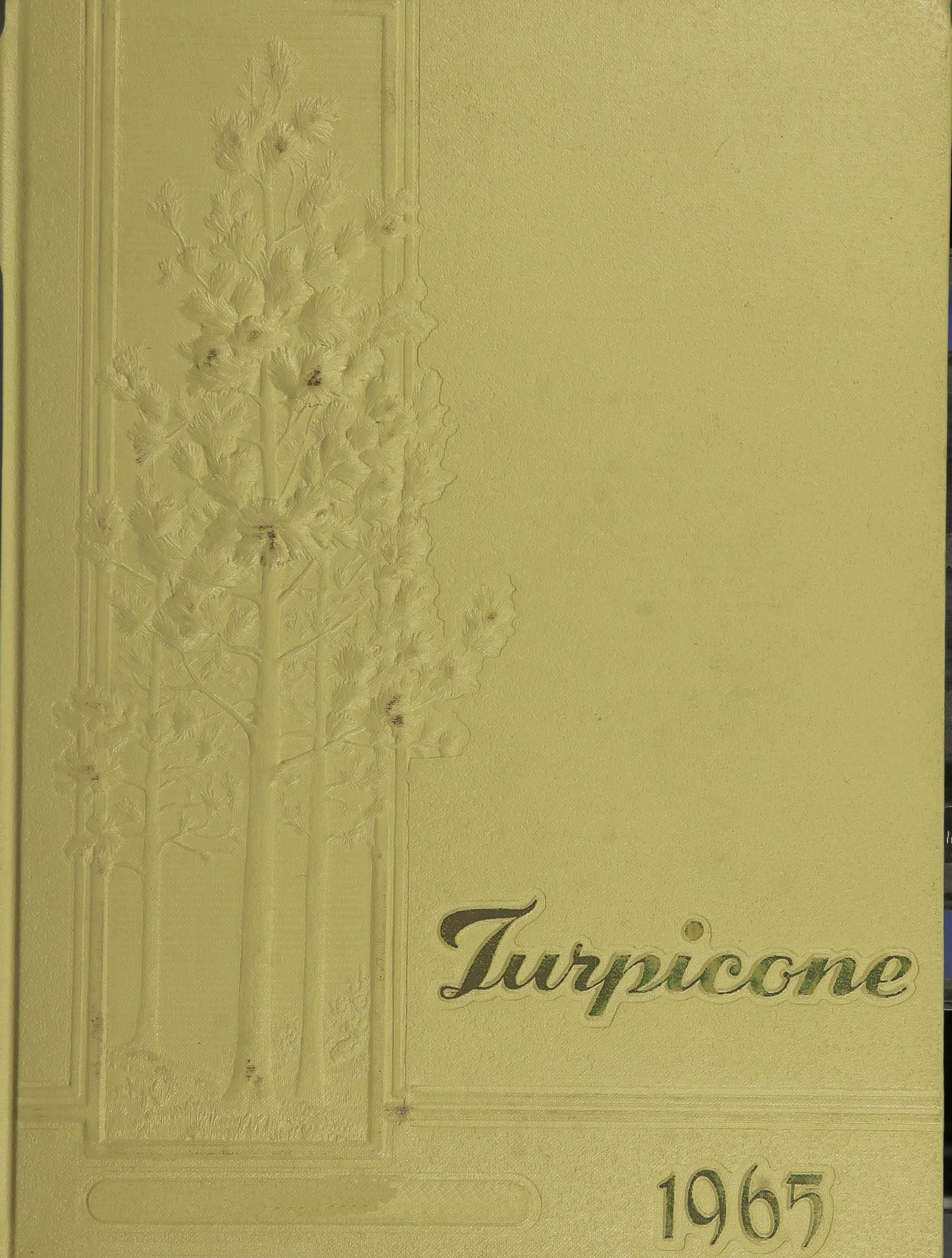 Turpicone 1965