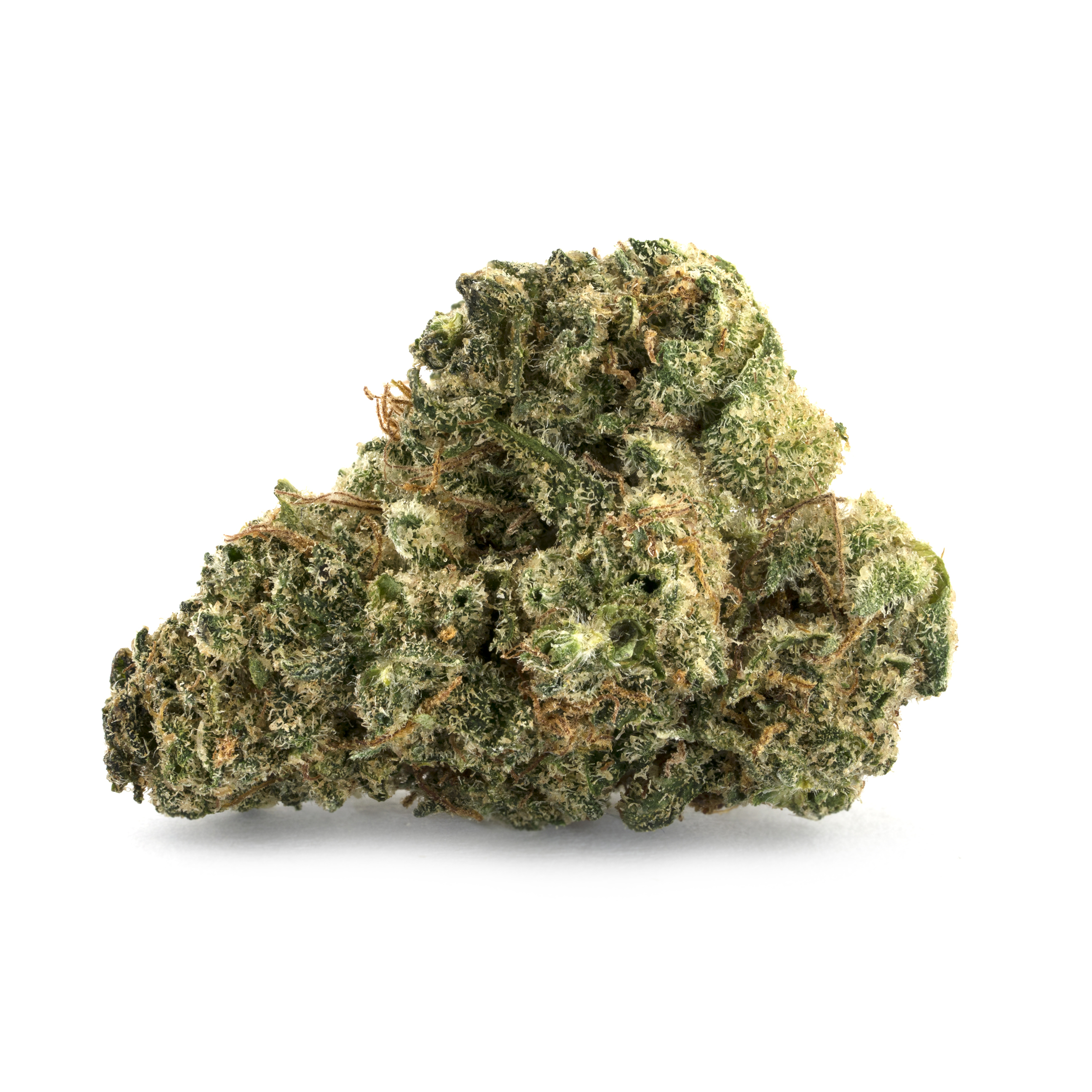 Grasslands Indica