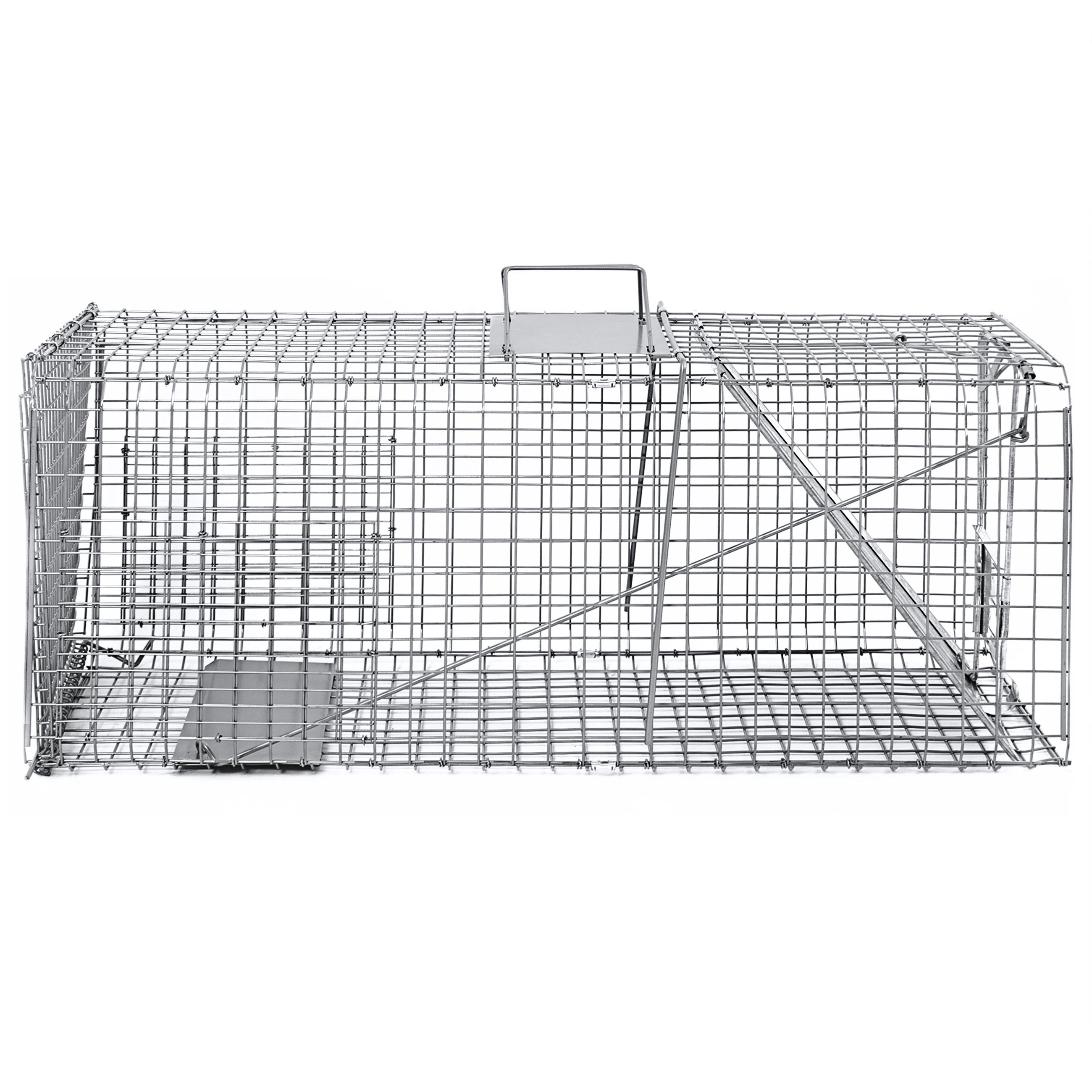 Raccoon Skunk Poss Humane Animal Trap 31"x12"x12" Cage Rabbit Cat Live