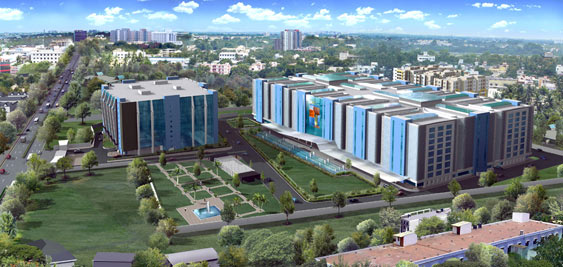 Seven Hills Health Image