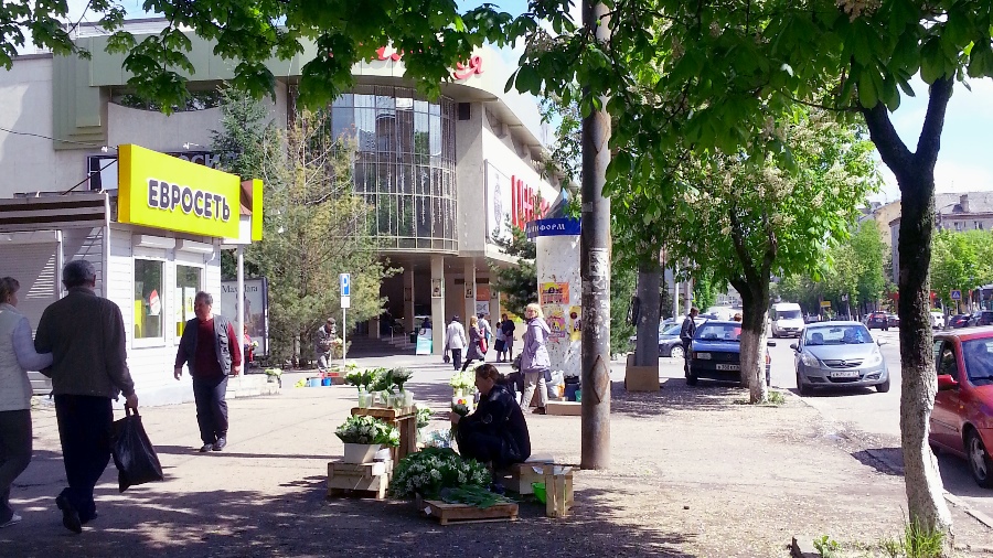 торговцы ландышами3
