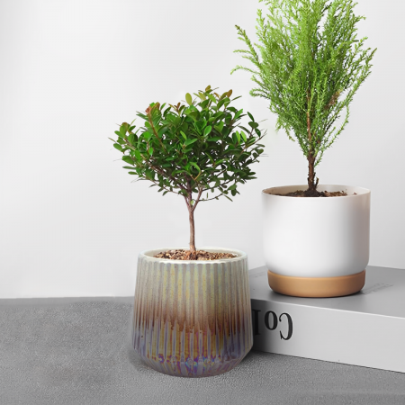 Maceta decorativa tornasol café, 10xØ11cm, cerámica