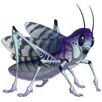 grasshopper1.png