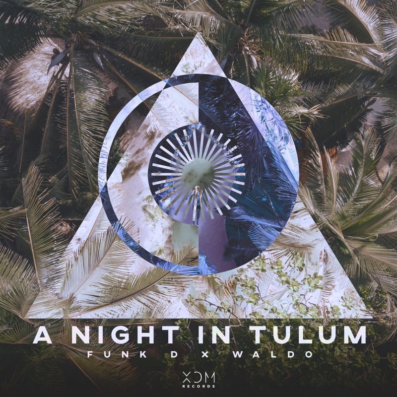 Funk D & Waldo - A Night In Tulum