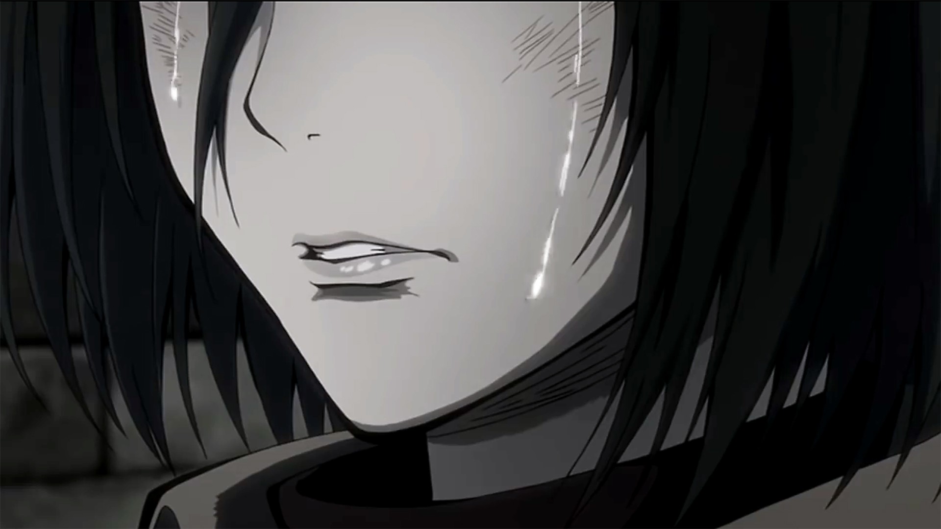 Wallpaper Attack On Titan 206 Mikasa Ackerman, Shingeki no Kyojin, anime girls, monochrome