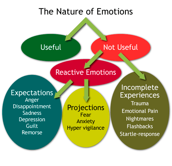 Nature of Emotions chart