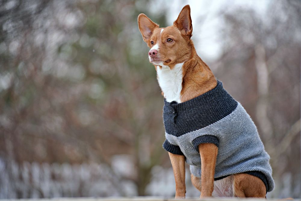 Tamron 35 150mm F2 2.8 Di III Sweater 150mm F2.8