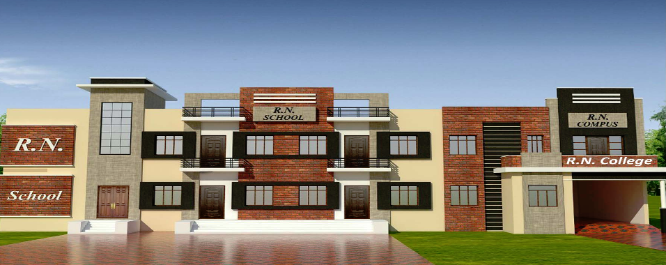 Shri R. N. College, Salasar Image