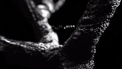 Dark Cinematic Titles - 1