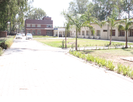 I.K. Gujral Punjab Technical University, Mohali Campus I