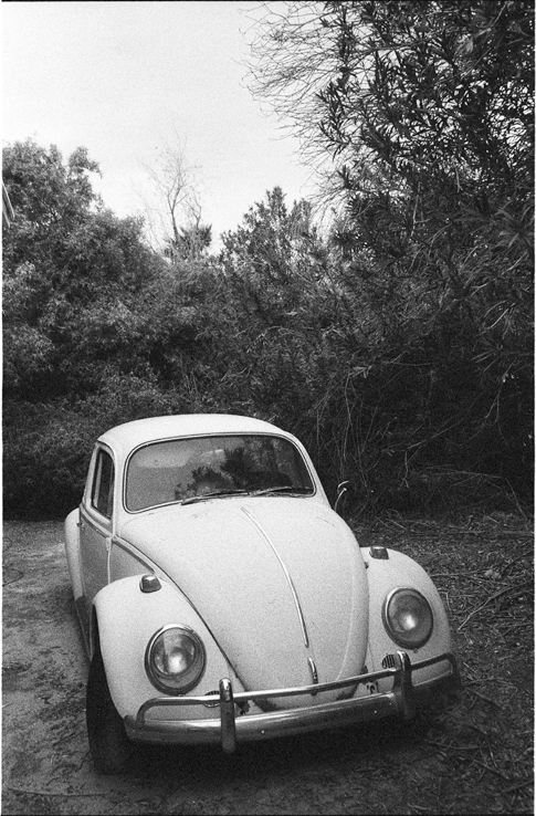 vwbug.jpg