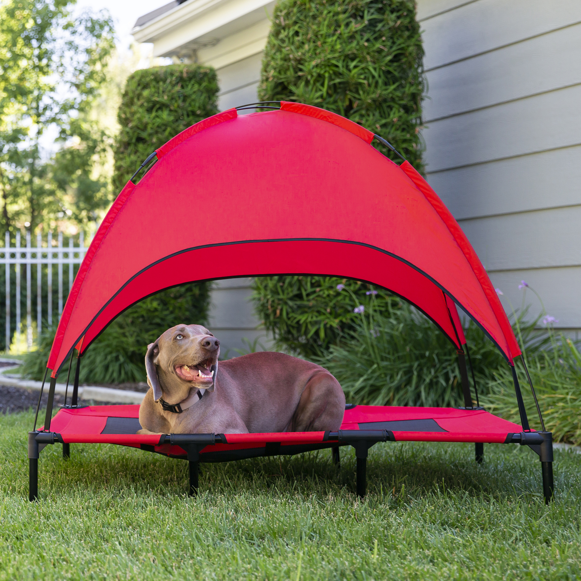 BCP 36in Outdoor Raised Cooling Pet Dog Bed w/ Canopy, Travel Bag eBay