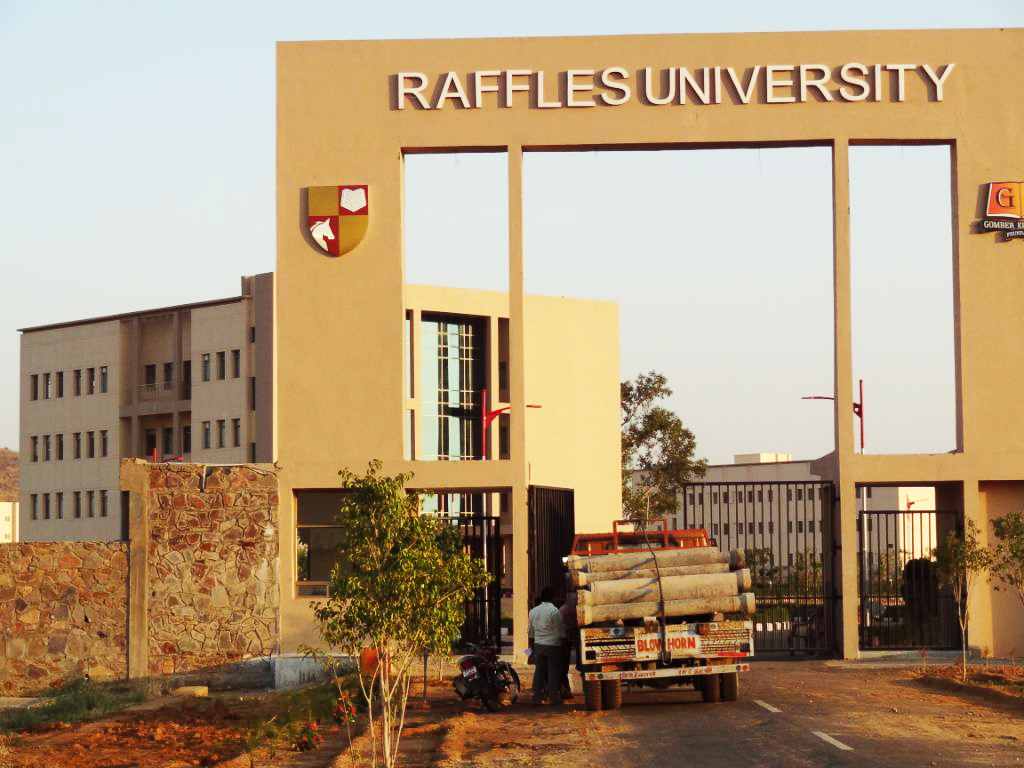 Raffles University Image