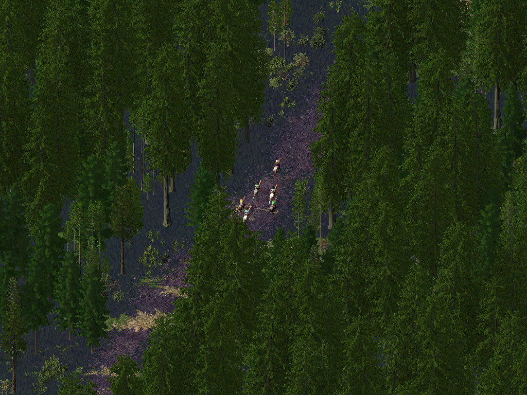 Update%2036%20-%2012%20ridingintrees.jpg