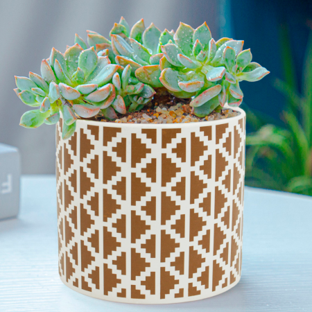 Maceta decorativa 11xØ11.5cm, cerámica