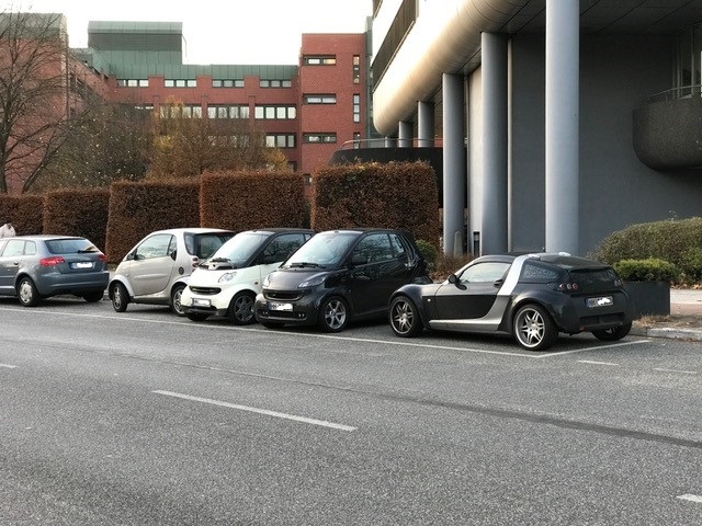 Parken%20Hamburg.jpg