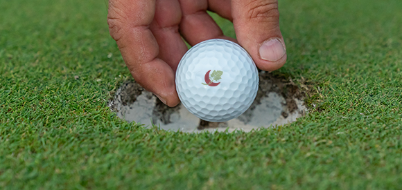 Image of woman golfing