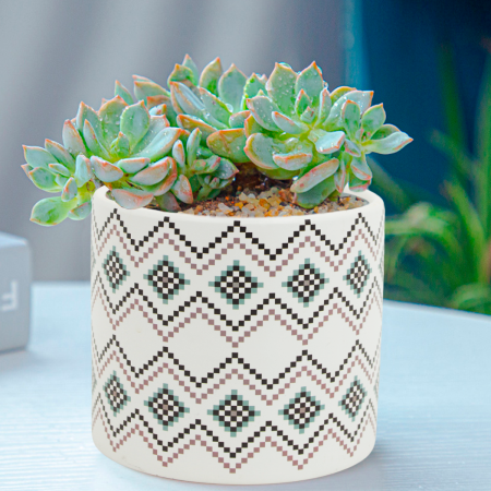 Maceta decorativa 11xØ11.5cm, cerámica
