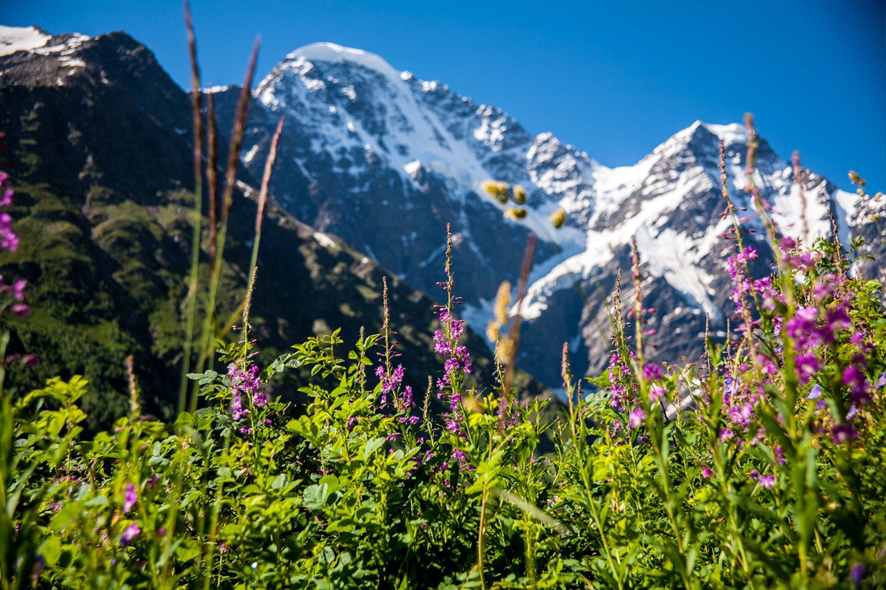 mountain-elbrus