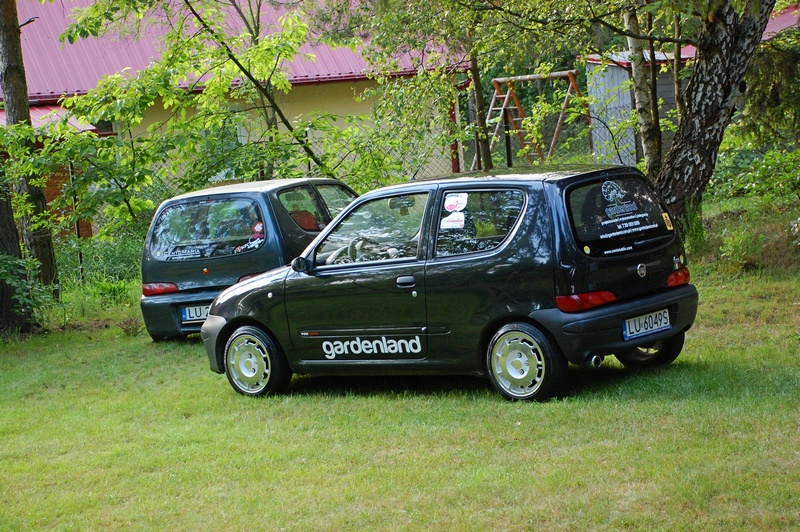 DSC_7977a.JPG