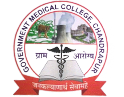 School Of Nursing, Government Medical College and Hospital, Chandrapur