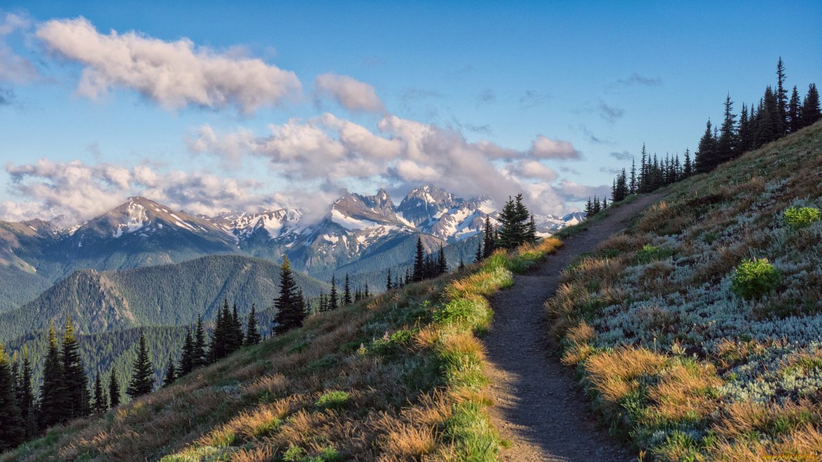 mountain-trails