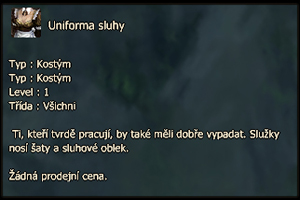 Uniforma sluhy