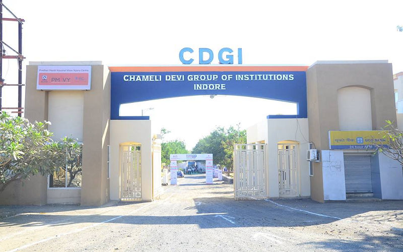 Chameli Devi Institute of Pharmacy, Indore Image