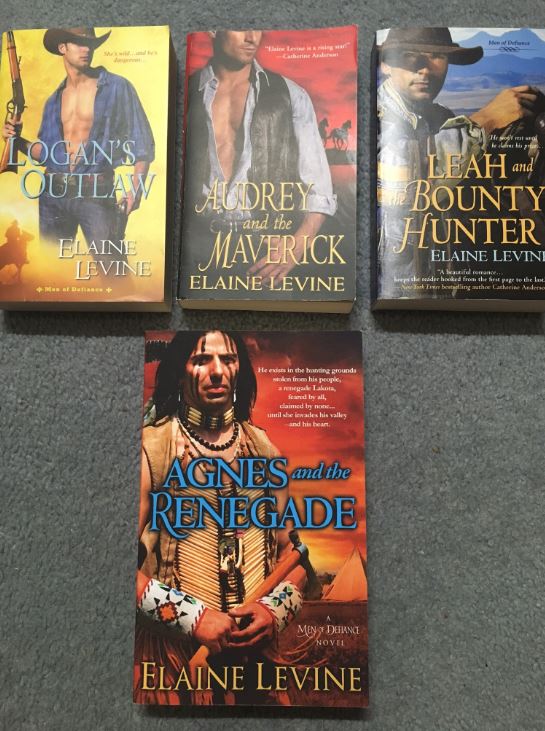 Elaine Levine Men of Defiance book swag