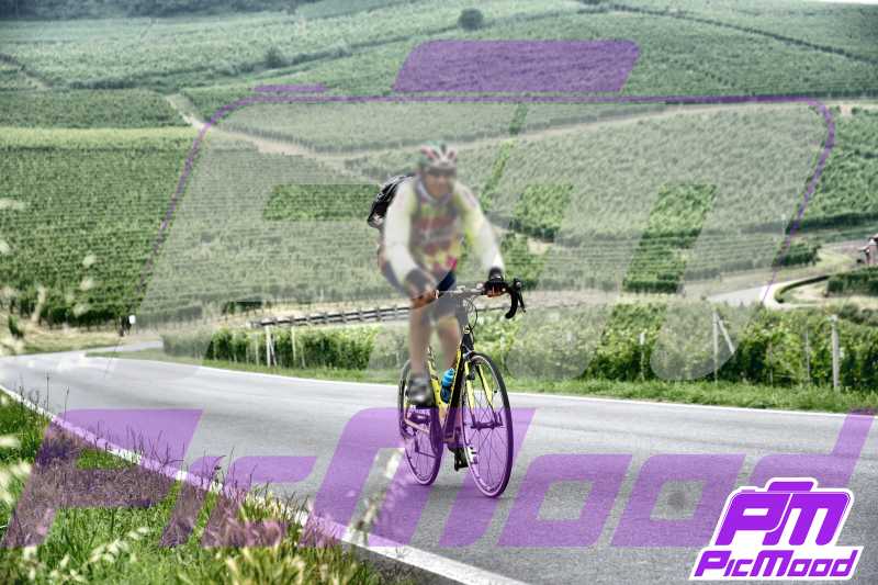 Barolo