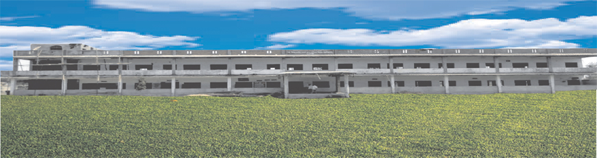 Late Nirdhan Patil Waghaye Arts, Commerce and Science College, Bhandara