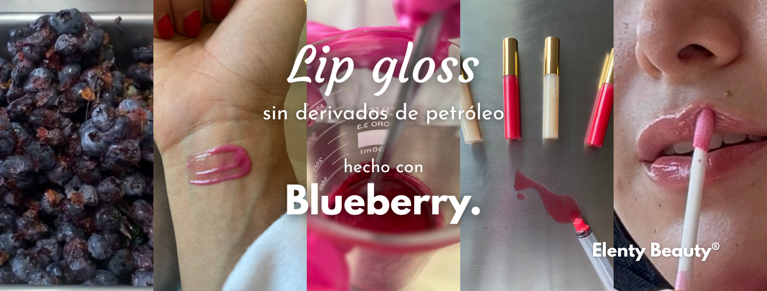 Descripción