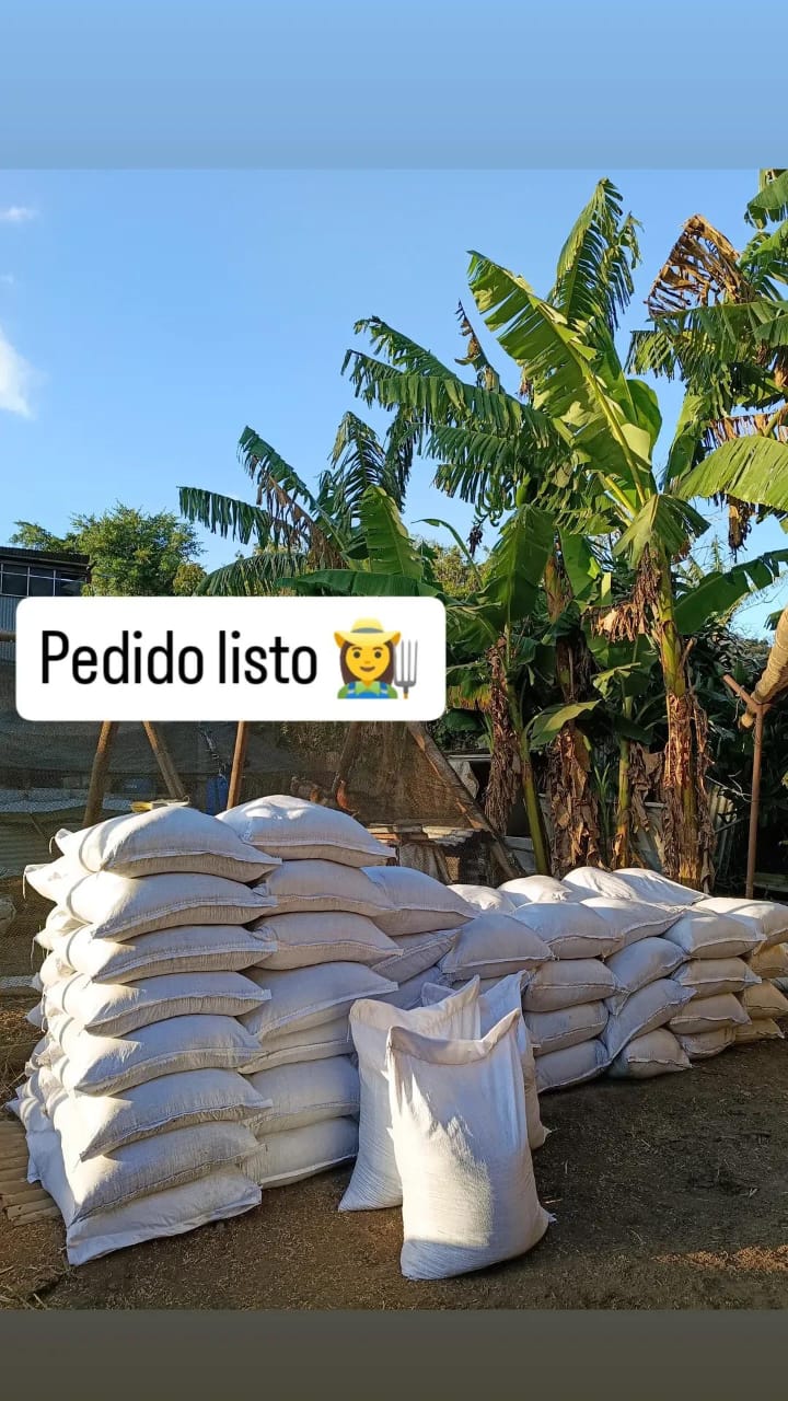 Descripción