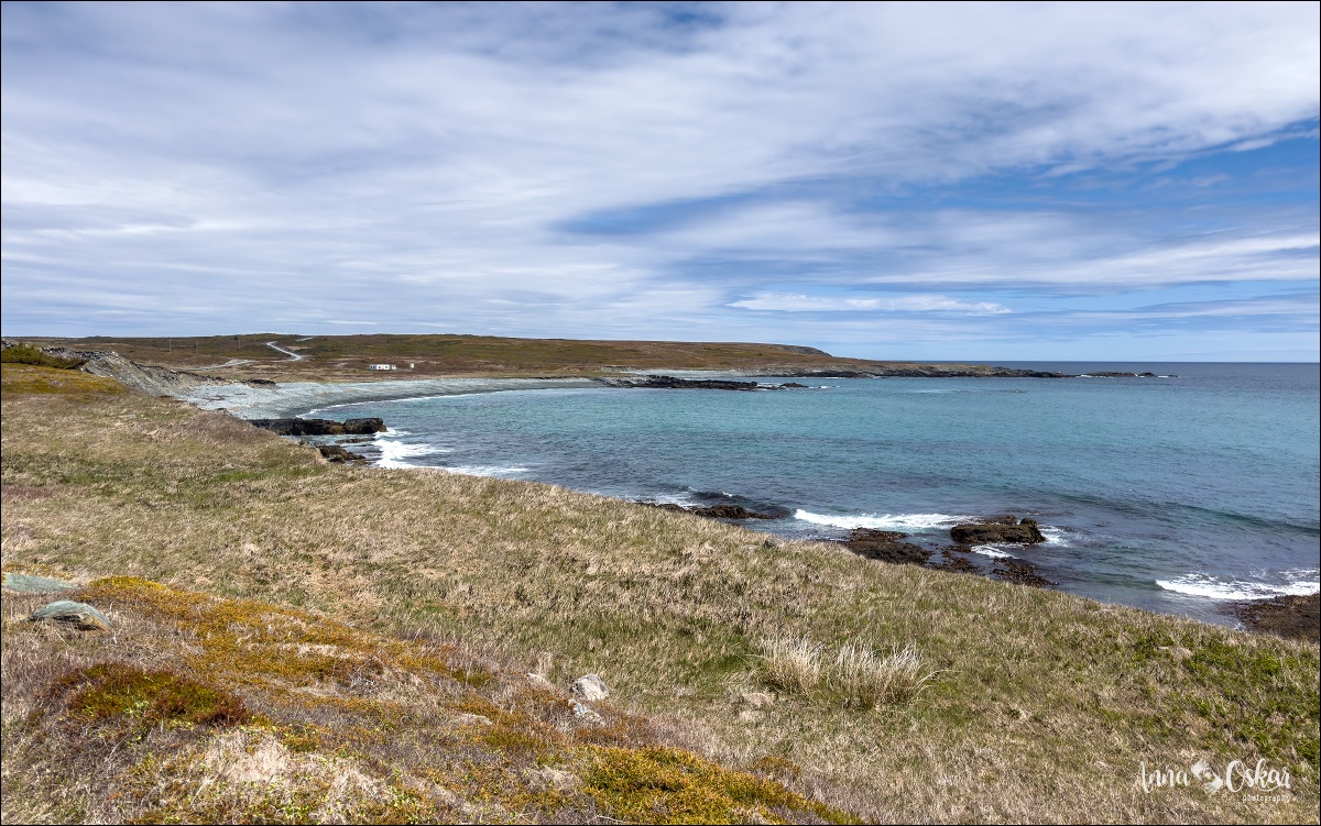 St. John's (I) - Terranova & Labrador: icebergs, puffins y balleneros vascos (16)