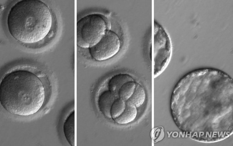 image_AurumResearch_5292.jpg