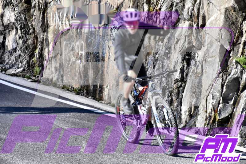 Passo Gavia