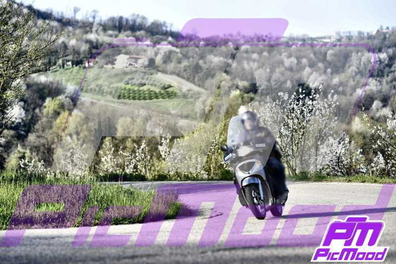 Monferrato