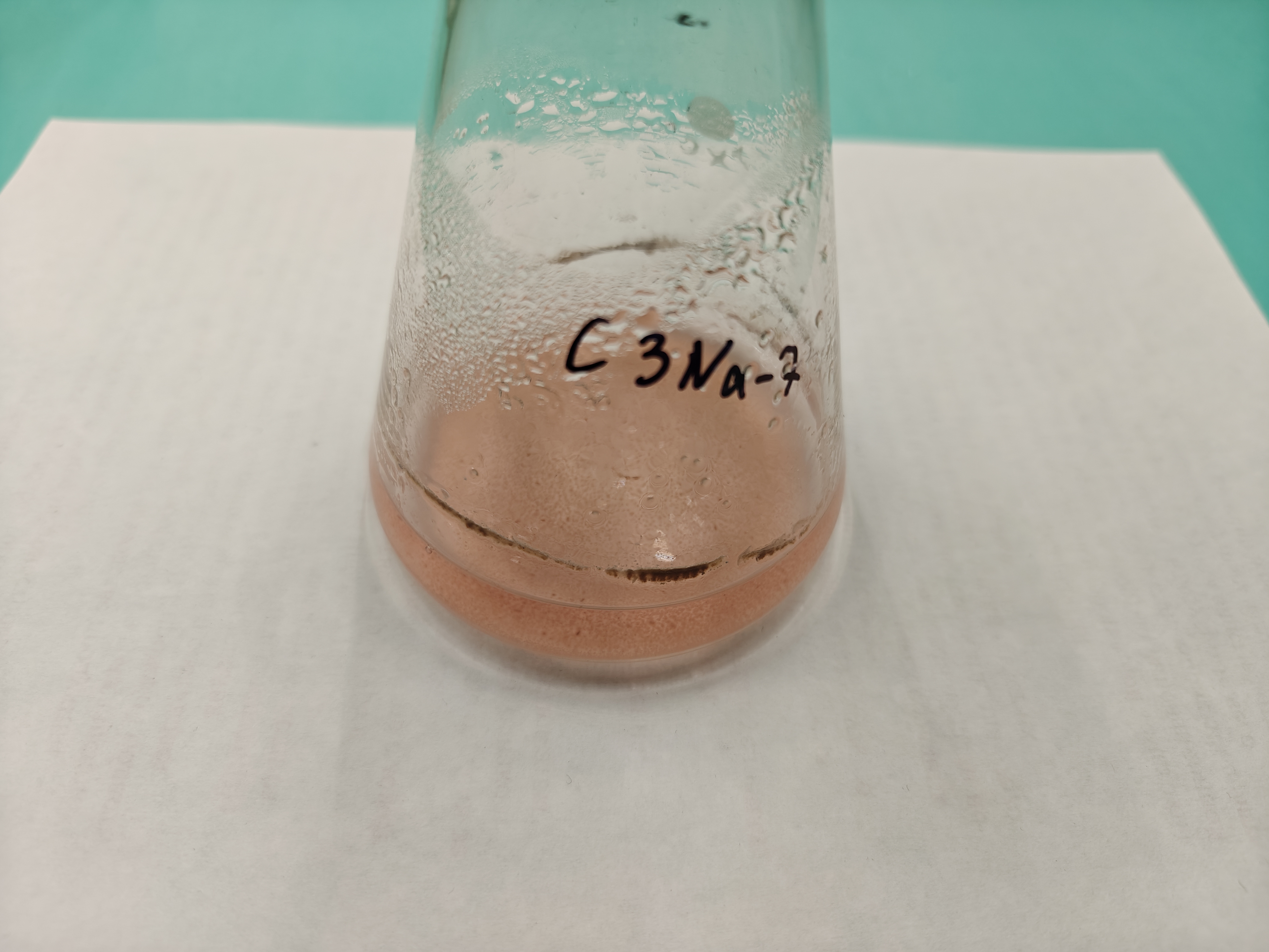 Streptomyces sp. C 3 Na-7